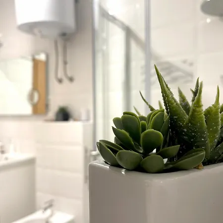 Apartament Roma *